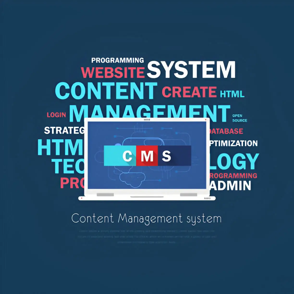 Enterprise Systems